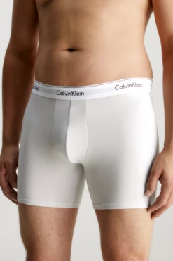 Calvin Klein 3 Pack Men's Modern Cotton Boxer Brief -Fashion Panty Shop 000NB2381A GW4 alternate2.psd